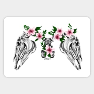 HORSE SKULLS Magnet